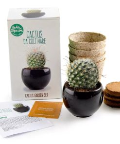 Kit Cactus à faire pousser