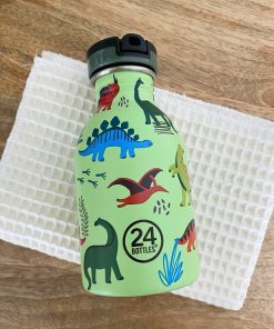 Gourde KIDS 250 ml – Jurassic friends | 24 Bottles