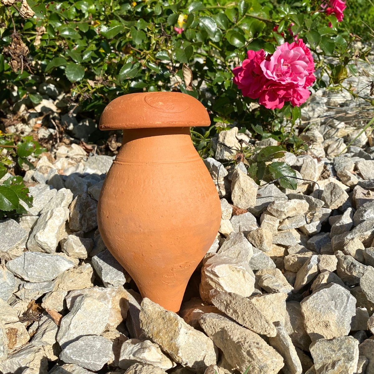 Ollas à planter 0,5 L – Terre brute