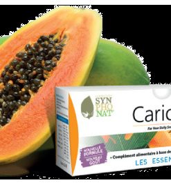 CARICOL GOUT POMME 20 STICKS DE 21ML