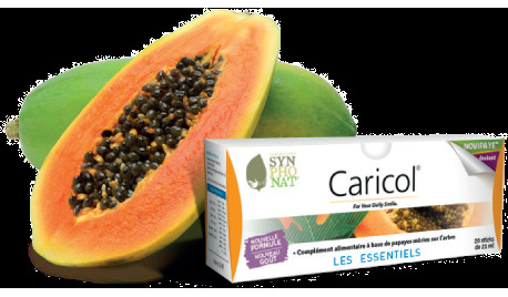 CARICOL GOUT POMME 20 STICKS DE 21ML