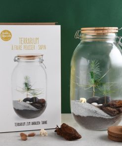 Terrarium végétal à faire soi-même – Sapin de Noël