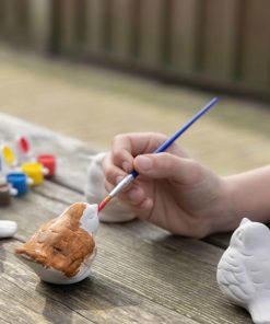 Kit de peinture Oiseaux