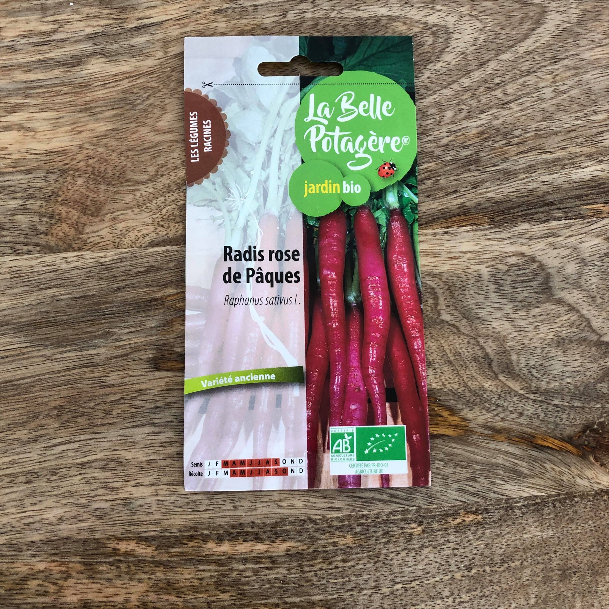 Graines à semer – RADIS ROSE DE PAQUES
