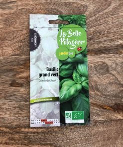Graines à semer – BASILIC GRAND VERT