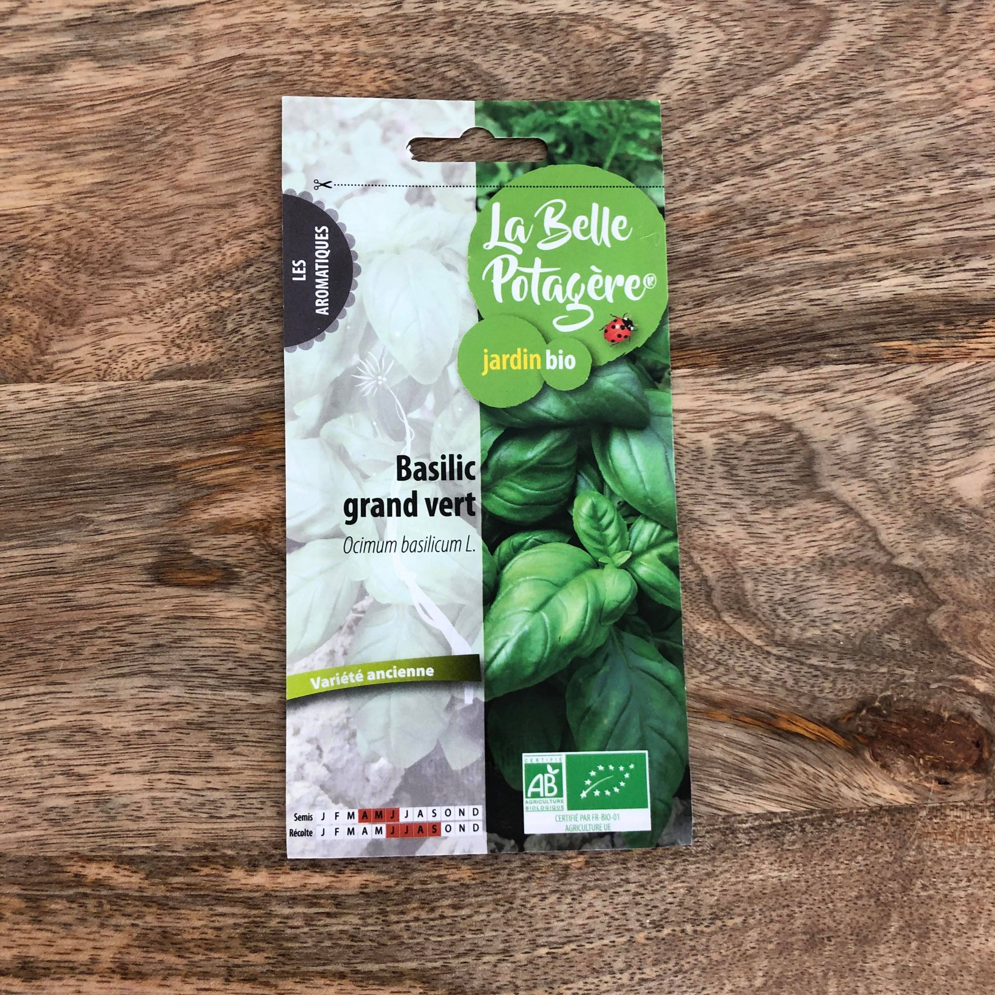 Graines à semer – BASILIC GRAND VERT