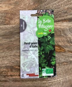 Graines à semer – PERSIL GEANT