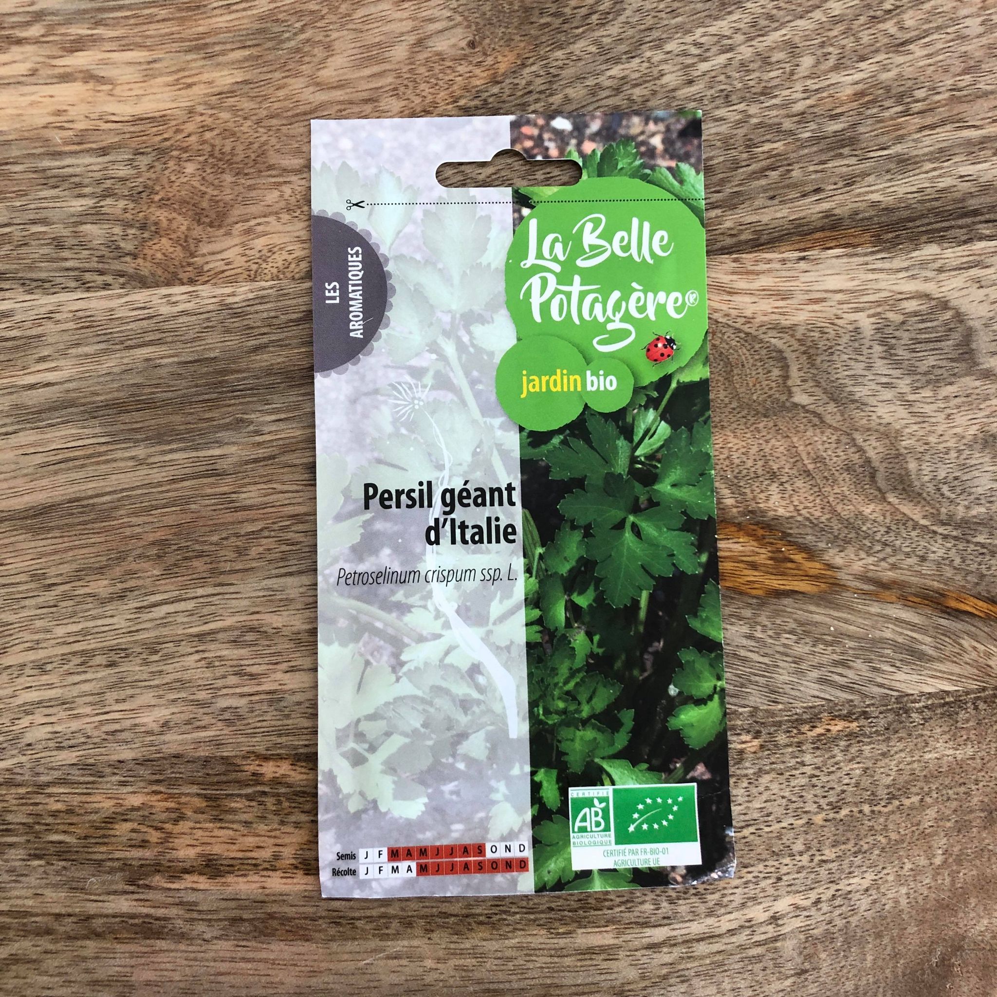 Graines à semer – PERSIL GEANT