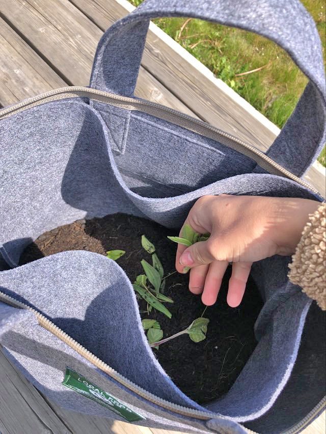 Kit pour compost – Image 9