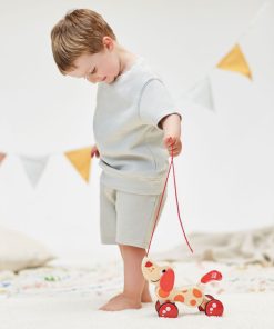 Jouet en bois à promener – Chien