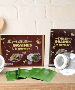 L’atelier graines à germer