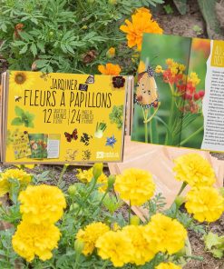 Coffret : Je fais pousser mes 12 fleurs à papillons