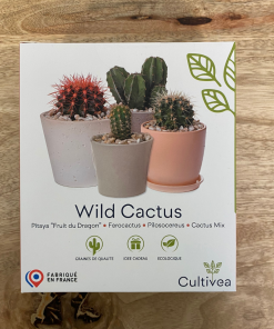 Petit Kit : 4 Cactus à faire pousser