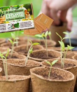 Coffret : Je fais pousser mes 12 plantes bien-être