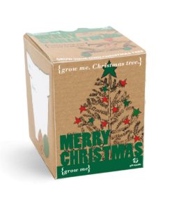 Petit Kit – Sapin de Noël à faire pousser