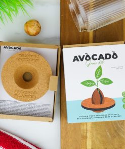 Kit : Faire pousser son avocat à la maison