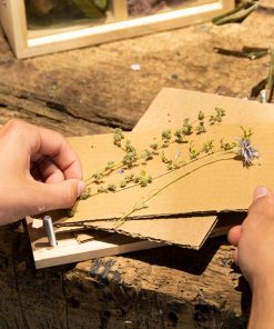 Presse à fleurs et herbes