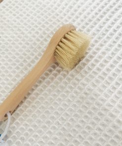 Brosse à champignons en bois naturel
