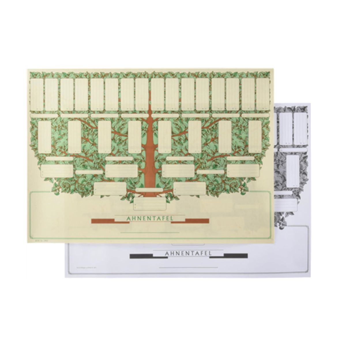 Petit Arbre Généalogique – Format A3 – Image 3