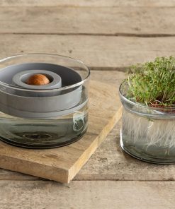 Set de culture de germination