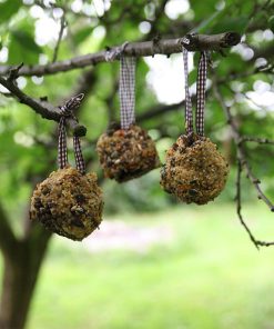 Mangeoire pomme de pin à fabriquer soi-même