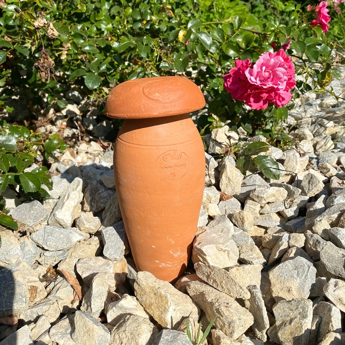 Ollas à planter allongée 0,5 L – Terre brute