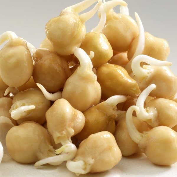 Graines à germer- POIS CHICHE BIO – Image 2