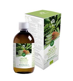 ALOE ARBORESCENS SINERGIA 2 SANS ALCOOL BIO