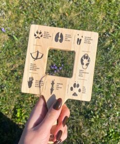 Cadre explorateur traces d&rsquo;animaux