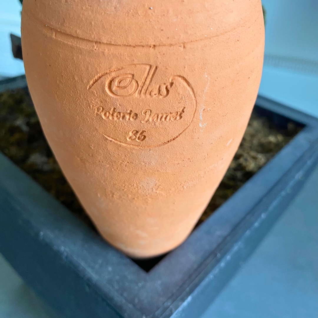 Ollas à planter allongée 0,5 L – Terre brute – Image 5