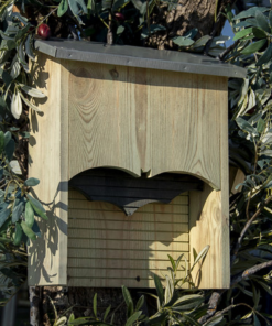 Abri silhouette pour chauves souris