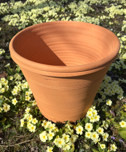 Pot d&rsquo;ornementation Agrume