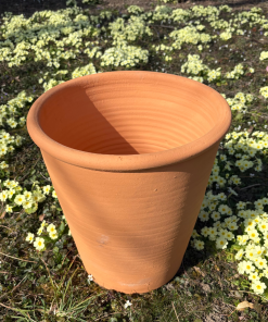 Pot d&rsquo;ornementation Tilia