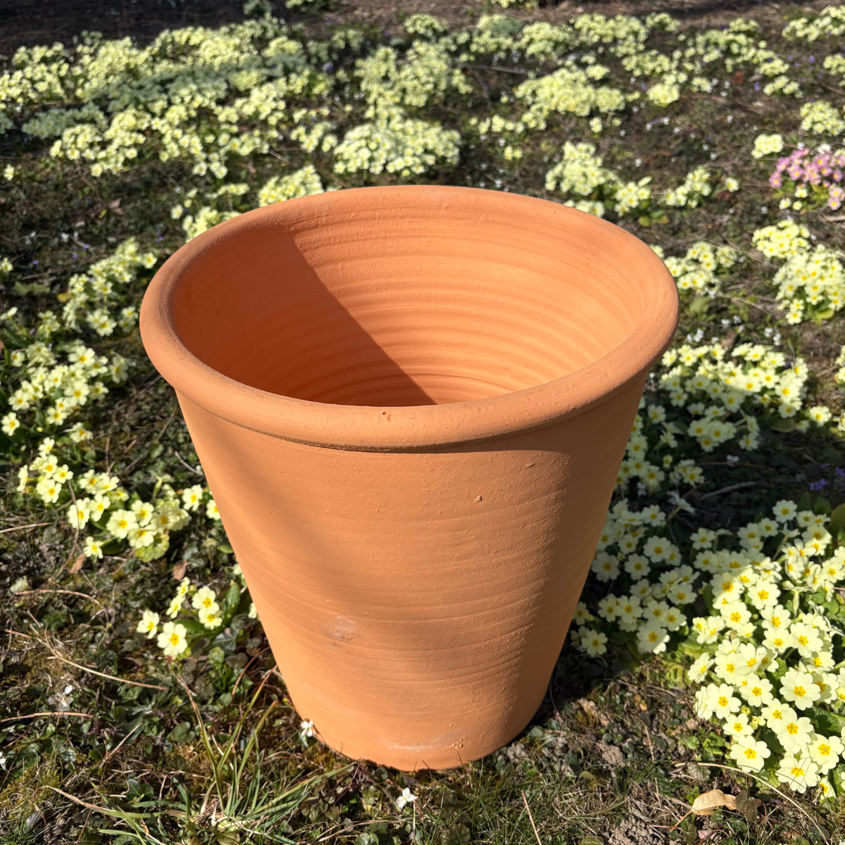 Pot d’ornementation Tilia