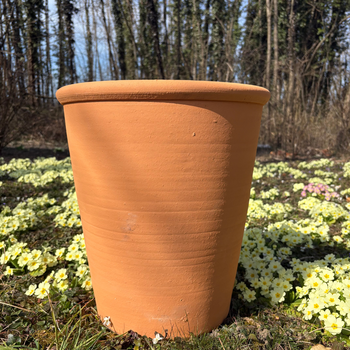 Pot d’ornementation Tilia – Image 2