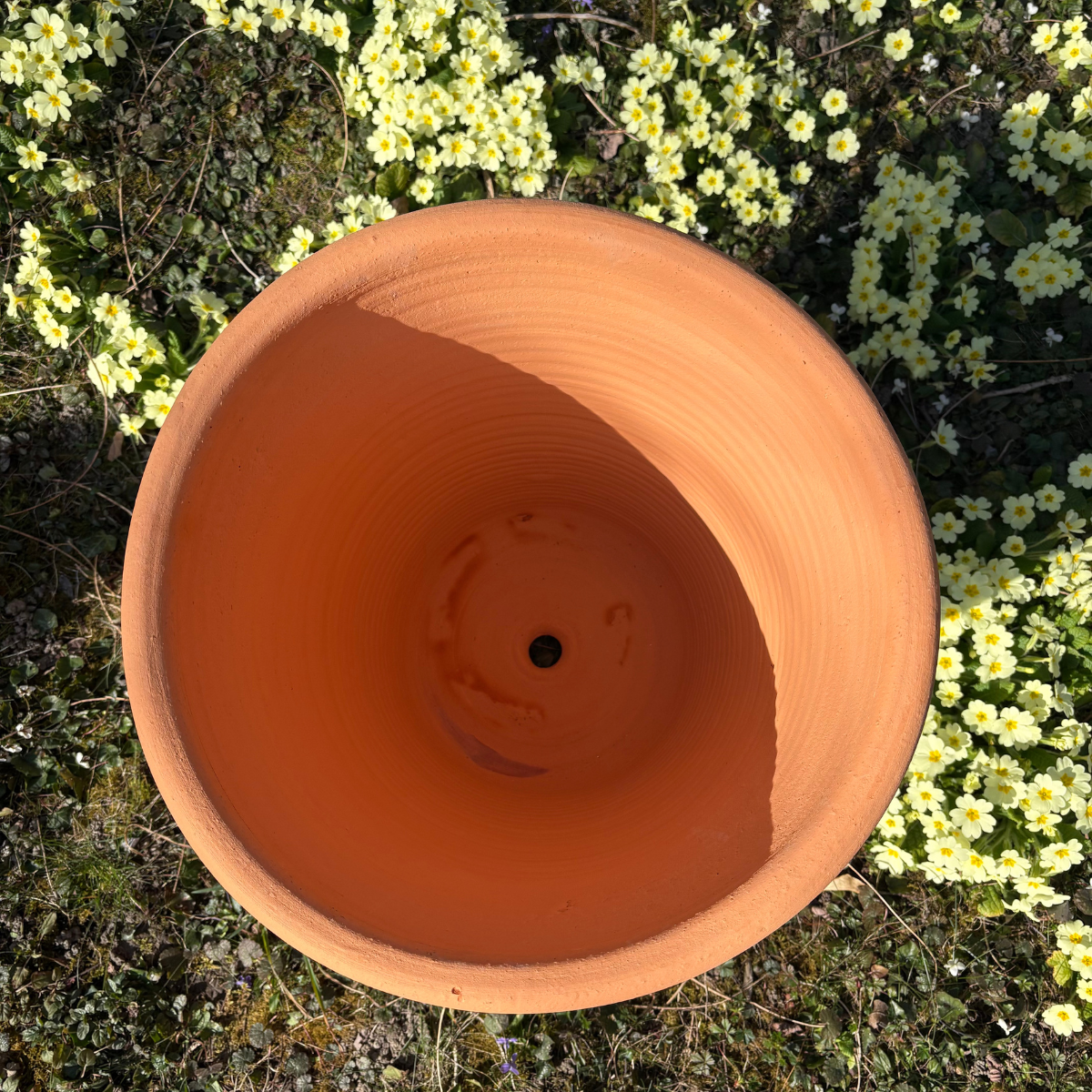 Pot d’ornementation Tilia – Image 3