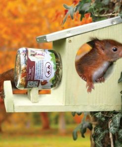 Pack abris + nourriture pour écureuils