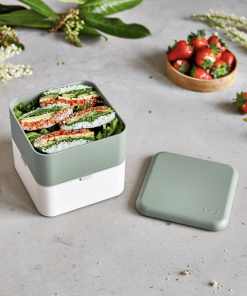 Monbento | Boîte repas bento carrée – Natural Green