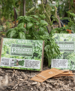 Coffret : Je fais pousser mes 12 herbes aromatiques