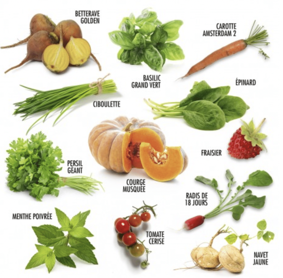 Coffret : Jardiner en permaculture – Image 3