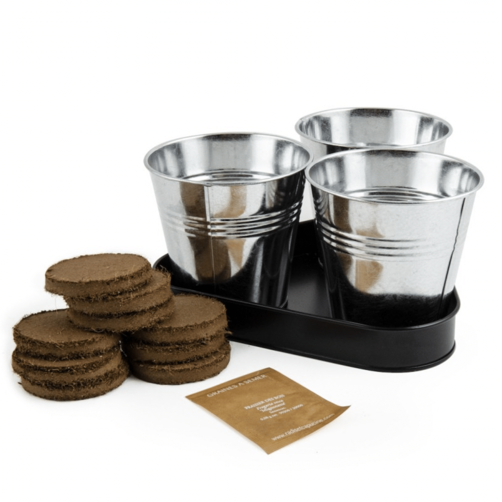 Coffret : Trio de fraisiers à faire pousser – Image 2