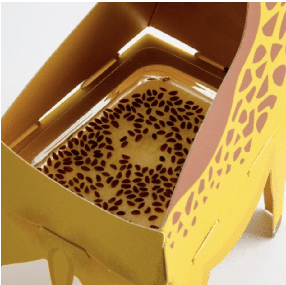 Coffret : Animaux POP UP à faire pousser – Image 2