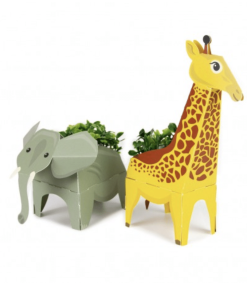 Coffret : Animaux POP UP à faire pousser