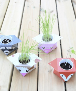 Coffret : La farandole des animaux à faire pousser