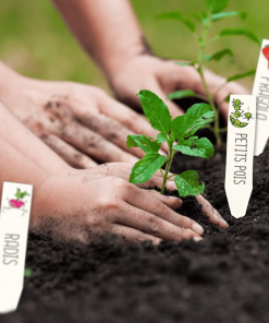 Kit plastique dingue etiquette de potager