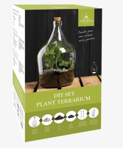 Terrarium végétal à faire soi-même – 3 L