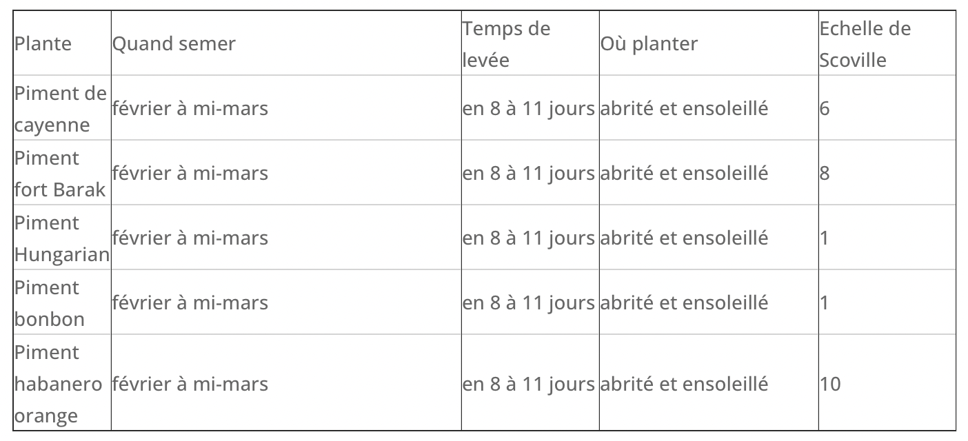 Coffret : Je fais pousser mes minis piments BIO – Image 5