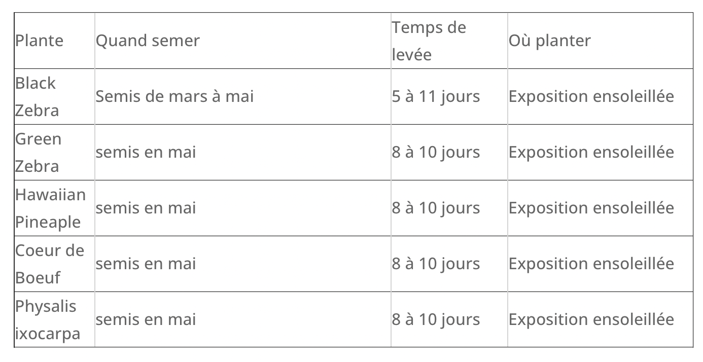 Coffret : Je fais pousser mes tomates arc-en-ciel BIO – Image 3