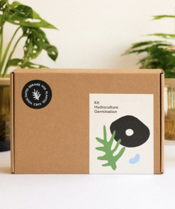 Coffret de germination – Pepin