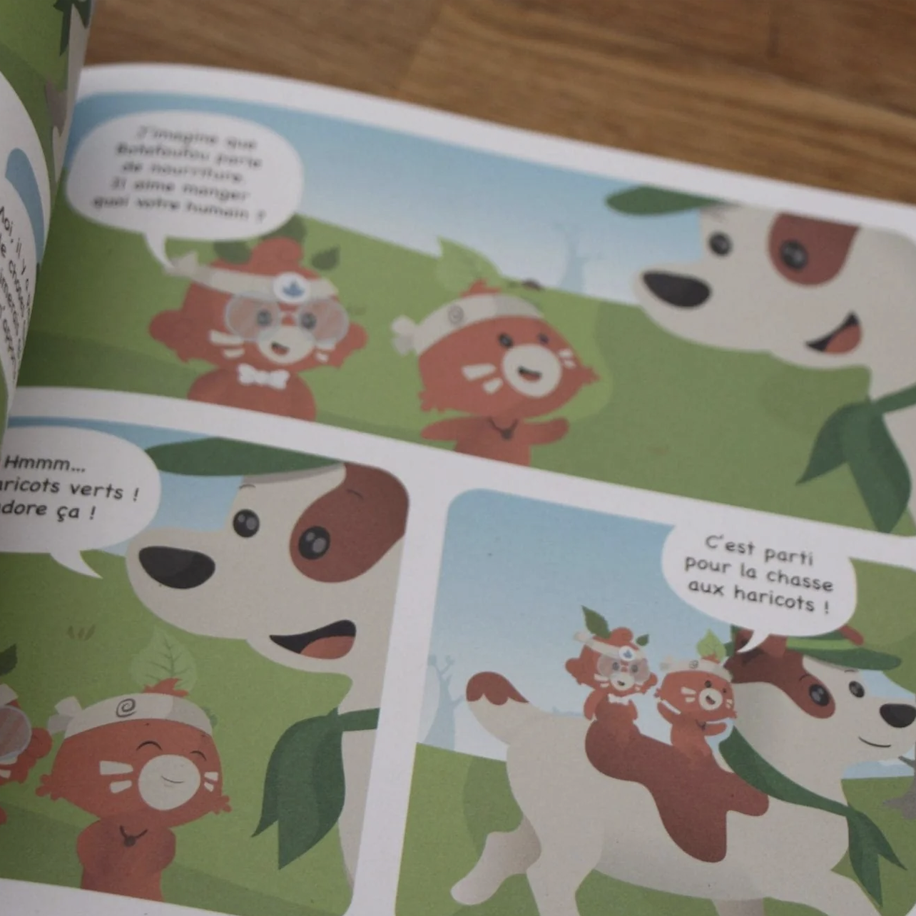 Créer mon potager maison : Le kit Semis Salade – Image 5